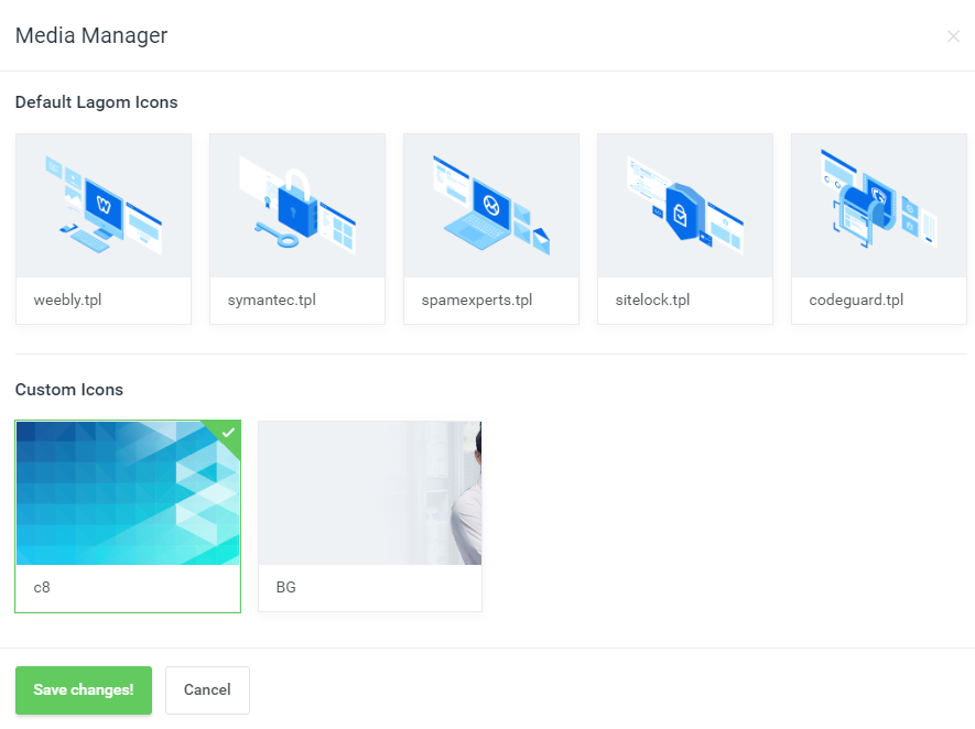 Promtion Manager for Lagom WHMCS Theme - Choose graphic